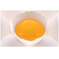 鶏卵（卵選別包装施設）