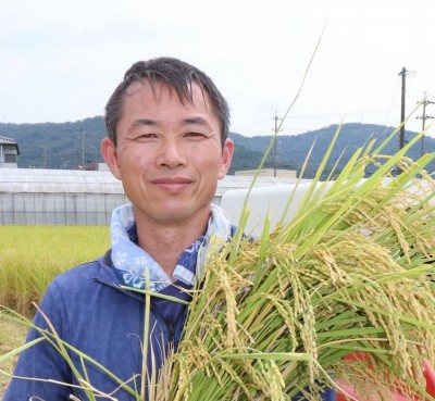 真米の会 水稲