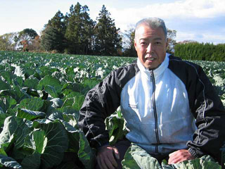 藤本　幸生 キャベツ