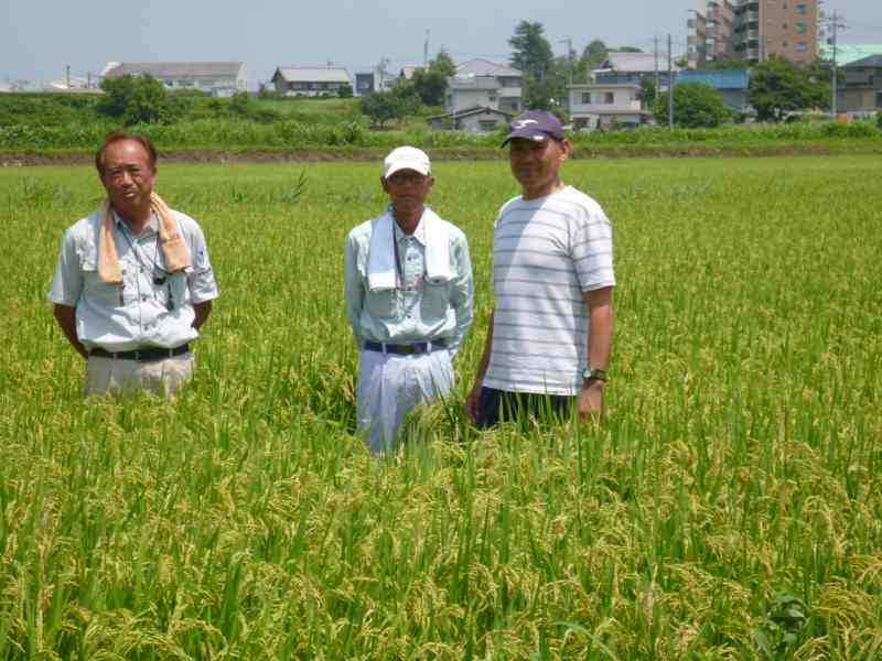 ＪＡいがふるさと 南部担い手稲作Ｇ研究会 水稲