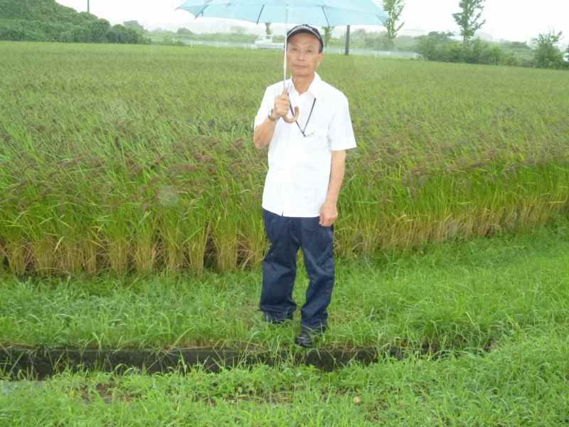 農事組合法人高柳地区営農組合 水稲