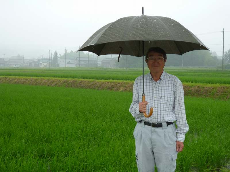 農事組合法人一色営農生産組合 水稲