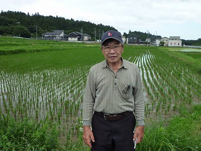 有限会社種村牧場 水稲