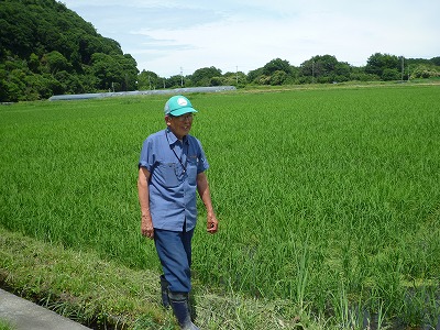 株式会社石橋グリーンファーム 水稲