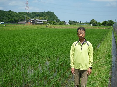 西森　偉統 水稲