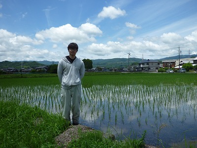 有限会社前川ライス 水稲