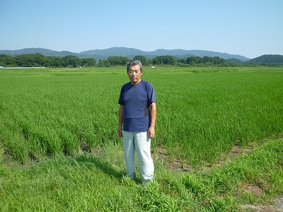 神谷　学 水稲