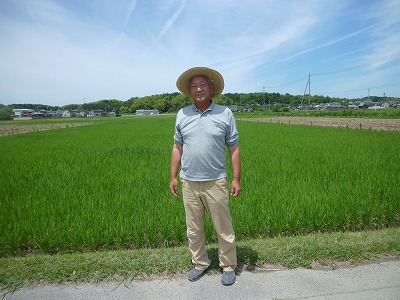 森田　和夫 水稲