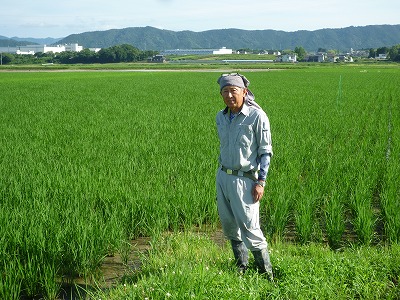 山口　欣也 水稲