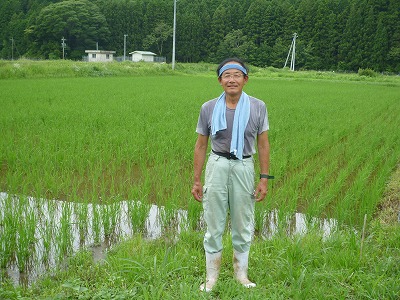 山川　和基 水稲